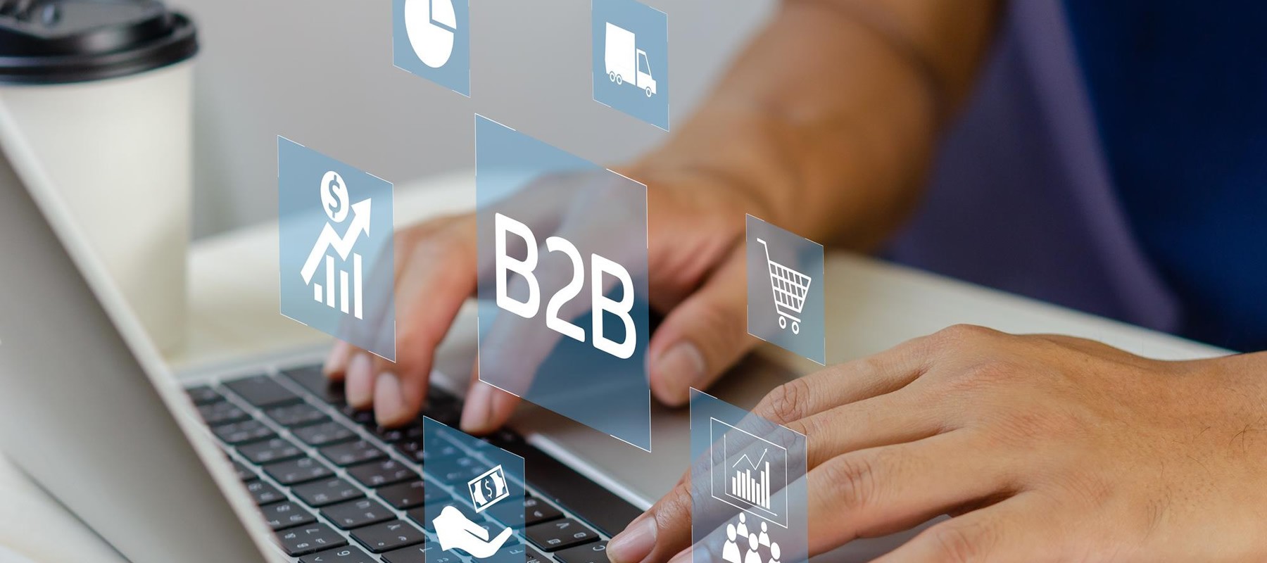 B2B Web Yazılımları