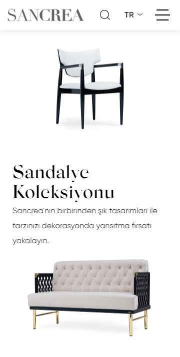 Sancrea Innovative Chair