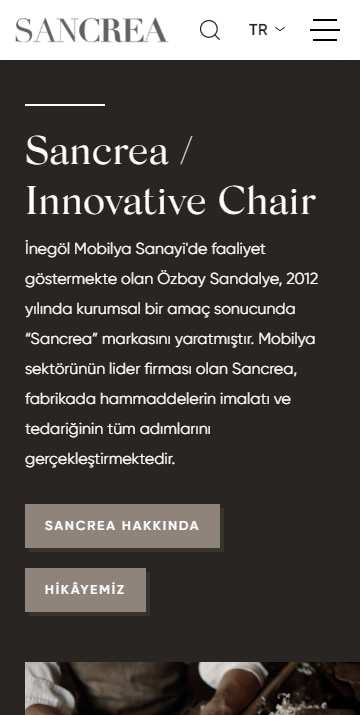 Sancrea Innovative Chair